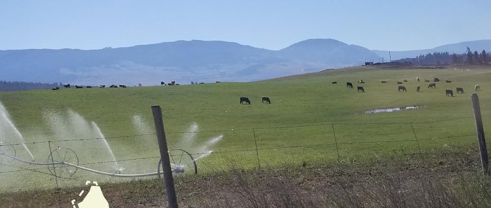 Buying Kelowna Real Estate for Sale Next to an Agricultural Property