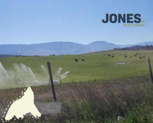 Buying Kelowna Real Estate for Sale Next to an Agricultural Property