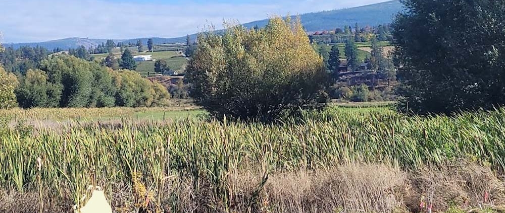 why invest in kelowna real estate this fall