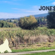 why invest in kelowna real estate this fall