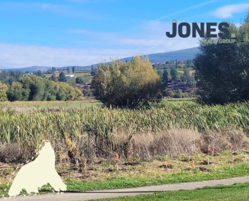 why invest in kelowna real estate this fall