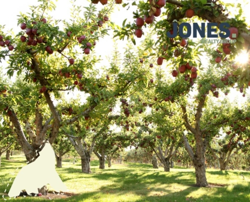 real estate market in kelowna 2026