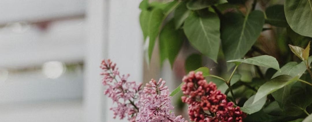 real estate kelowna seller regrets in 2026