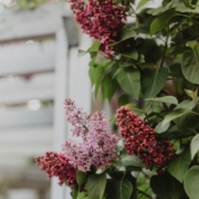 real estate kelowna seller regrets in 2026