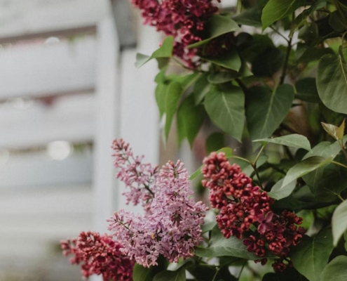 real estate kelowna seller regrets in 2026